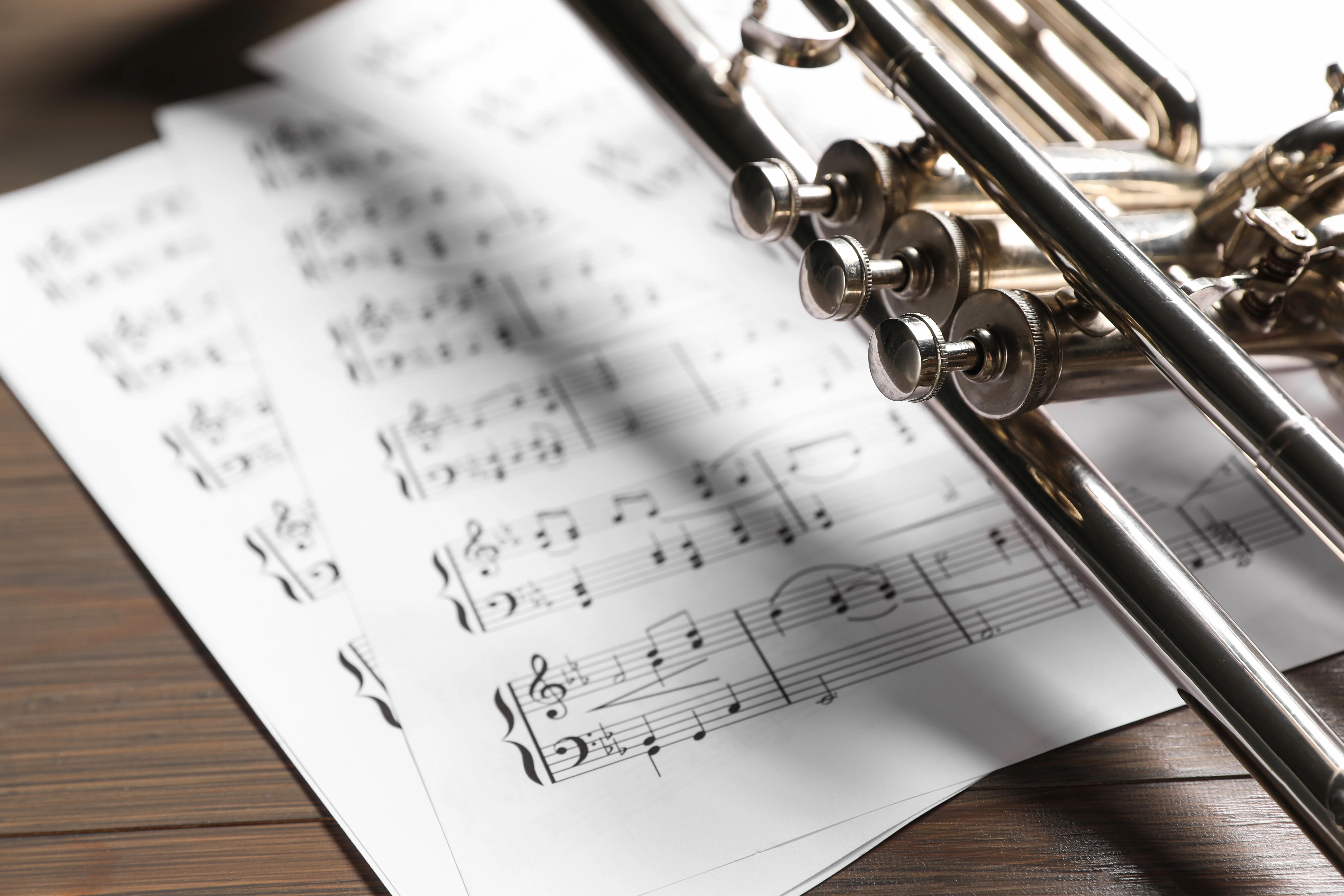Musicuro